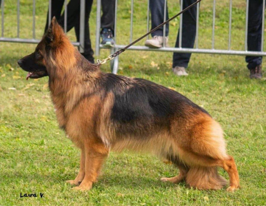CH. o'hara Du val d'anzin